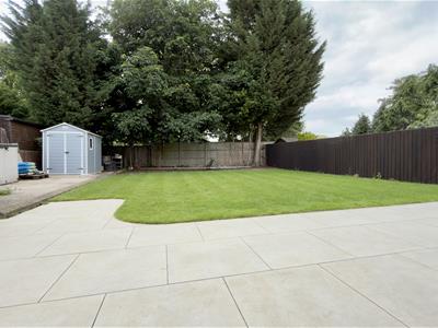 Picture 21